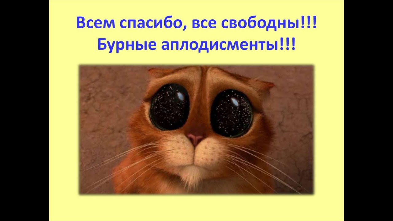 Всем спасибо все свободны