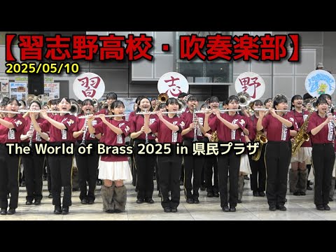 習志野高校吹奏楽部マフラータオルセット 習志野高校吹奏楽部グッズ