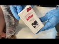 Video: Strawberry Eyelash Primer 15 ml