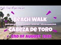 Seaweed Sargassum Punta Cana - end of August 2021 at the Beach of Cabeza De Toro