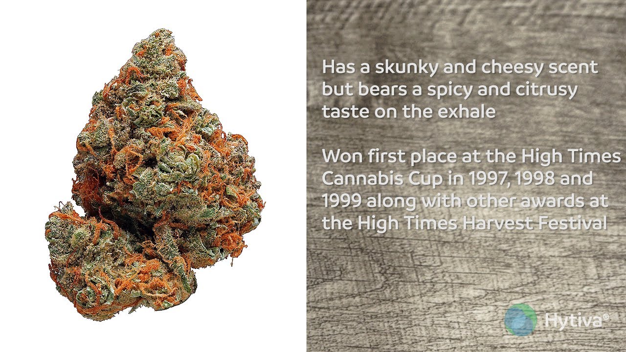 Super Silver Haze Strain Review