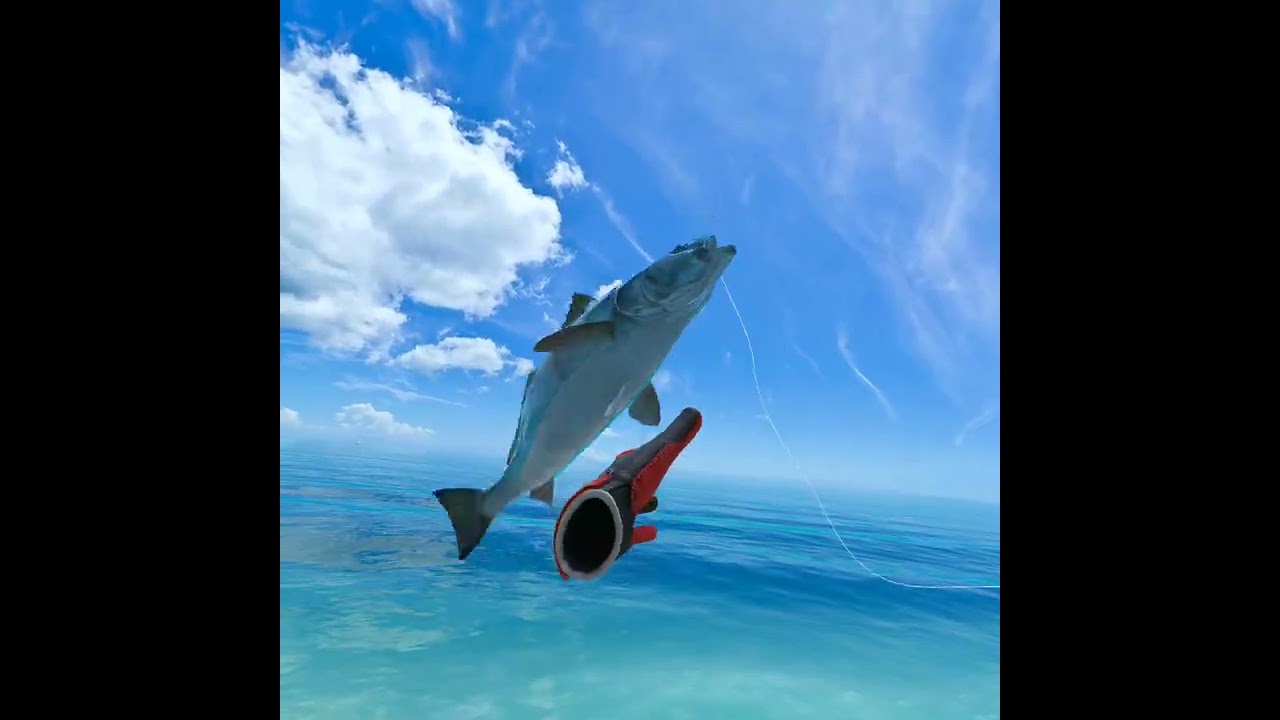 FISHING FOR SHARKS IN VR FISHING