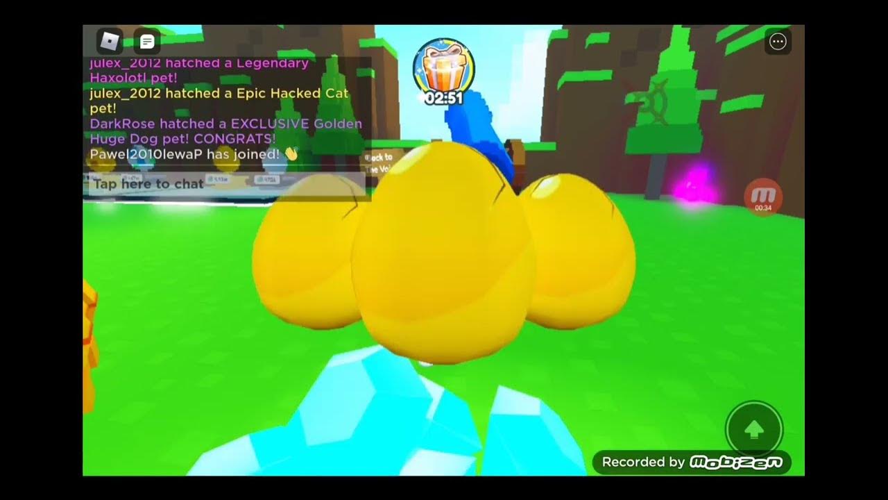 Fake Hatcher Pet Sim X by Hacker YouTube