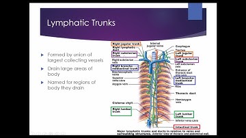 Human A&P II: Lymphatic System, Part 1