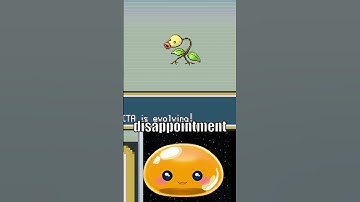 WAT zijn die evoluties!?