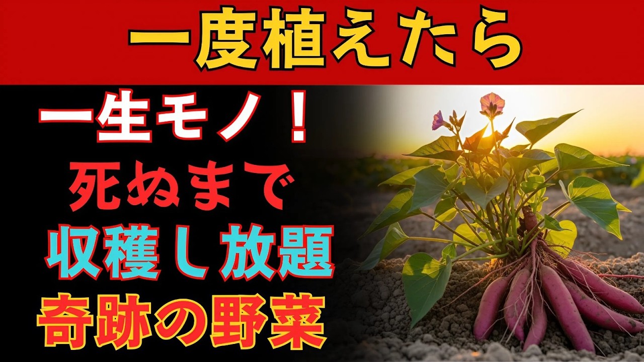 【一生困らない】一度植えるだけで、ずっと収穫できる！最強の自給自足野菜10選。
