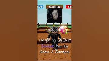 Hatching EVERY Divine Pet!