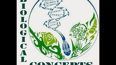 Week 7 Introduction Video