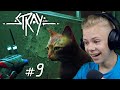 Спасение Друзей и Побег из Тюряги | Stray Прохождение #9