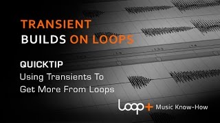 Using Ableton Transients To Create Builds On Loops - Loop+ Quick Tip