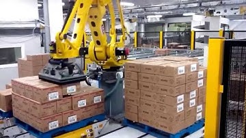 Case Conveying and Palletizing ID 328022