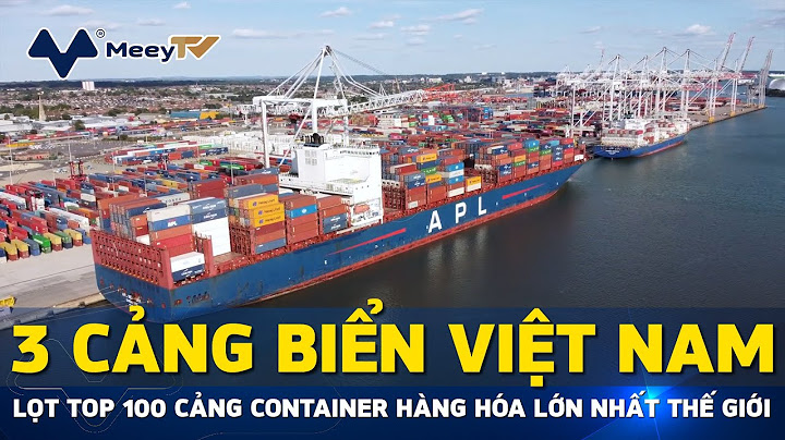 Top 100 công ty vận tải container năm 2022