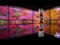 【保存版】色鮮やかな京都の紅葉40選🍁絶景旅:左京区編