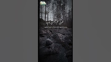 سورة الرعد القارئ عبد الرحمن مسعد