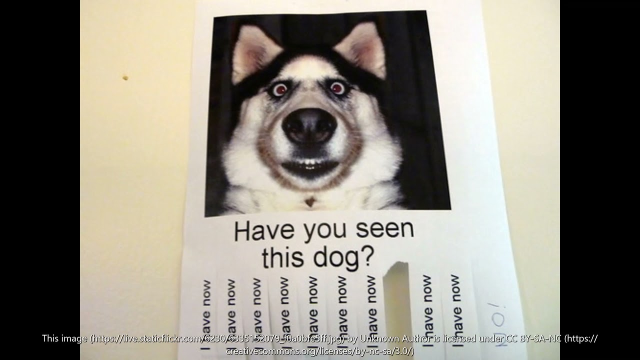 Have you seen him. Have you seen my keys. Have you seen him now you have. Have you seen my keys. Side liner.