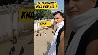 aaj hamara loft khula hi rah gya | sultan bhai ka gift hand tame kabutar #shorts #viral #minivlog
