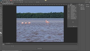 Photoshop: Using an Action to Resize Photos