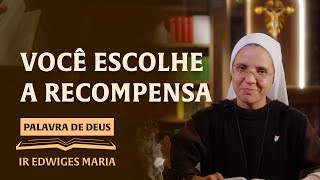 Palavra de Deus | Você escolhe a recompensa (Mc 10,28-31) Ir. Edwiges Maria 28/05