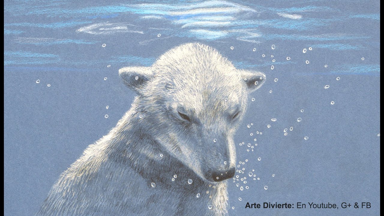 Cómo dibujar un oso polar bajo el agua, con lápices de colores - Burbujas