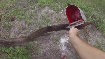 Backyard Breach: Mailbox Explosion