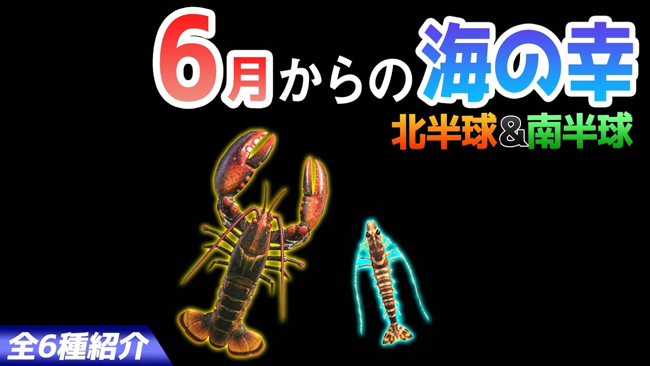 あつ森 6月から捕れる海の幸 を紹介 ロブスターやクルマエビなどベルも稼げるレアな生き物が大量 出現時間 影のサイズ 捕まえ方 値段について解説 あつまれどうぶつの森 6月 海の幸図鑑コンプリート Youtube あつ森 6月から捕れる海の幸 を紹介 ロブスターやクルマエビなどベルも稼げるレアな生き物が大量 出現時間 影のサイズ 捕まえ方 値段について解説 あつまれどうぶつの森 6月 海の幸図鑑コンプリート Youtube