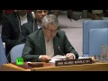 Заседание Совбеза ООН по сирийскому вопросу