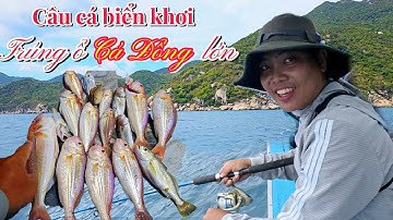 Câu cá biển khơi | Nhóm anh em câu trúng ổ CÁ ĐỔNG lớn quá đã.