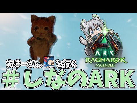 #4　帰ってきたあきーがASA初見ラグナロクで世界を壊す【＃しなのARK】