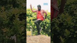 Reddu Reddu Bugge Reddu Sigge Reddu Ciranjivi Hit Song Rils Bvr