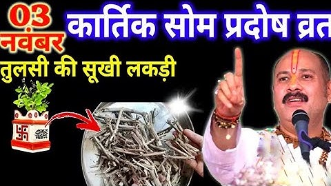 3 नवंबर कार्तिक सोमवार प्रदोष व्रत को तुलसी की सुखी लकड़ी वाला उपाय जरुर करे || Pradeep Ji Mishra