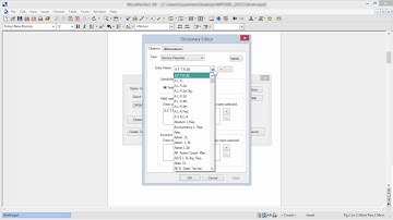 Perfect Authority Customization
