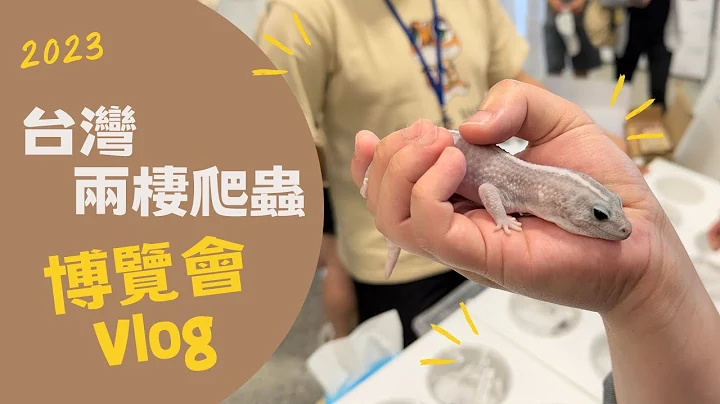 2023 台湾两栖爬虫博览会 Vlog @ 圆山花博争艳馆｜豹纹守宫｜瘤尾守宫｜肥尾守宫｜马岛日守宫｜角蛙｜iPhone 14 Pro｜4K Dolby Vision HDR - 天天要闻