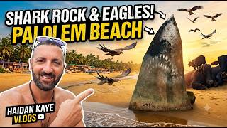 Is this Goa's best beach? 🏖️ Exploring Palolem beach South Goa