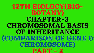 12th Biology(Biobotany) Chapter3 Chromosomal basis of inheritance(comparison of gene&behaviour) (2)