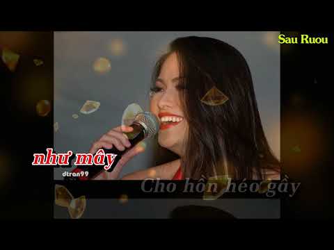 Karaoke Hạnh Phúc Lang Thang(Hồ Hoàng Yến)