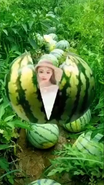 NHU`NG CLIP TRI`UE VIEW TIKTOK TR`UNG HOA #satisfying#satisfyingvideos#oddlysatisfying#shorts