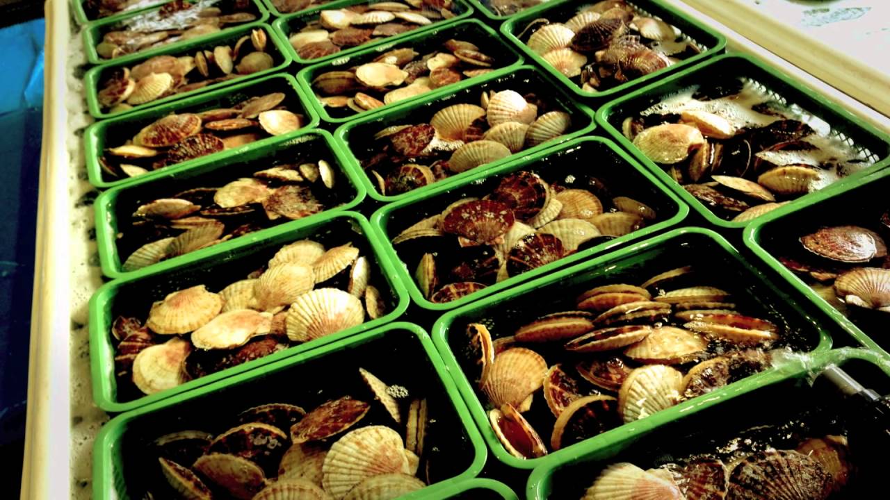 Muroran Promotional Short Film,"Culture"【English Version】