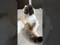 探し物はなんですか?