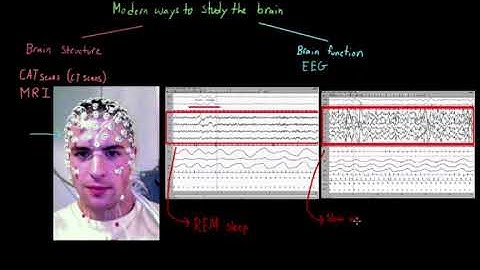 Modern ways of studying the brain  Organ Systems  MCAT  Khan Academy