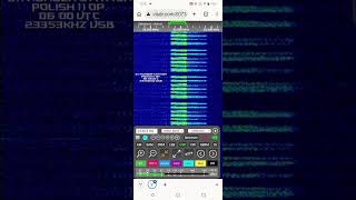 E11 number station - 06:00 UTC - 23353khz USB - 09/09/2026 E11 number station - 06:00 UTC - 23353khz USB - 09/09/2026