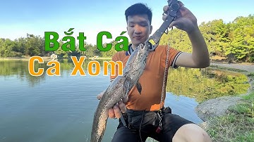 Bắt Hết Cá Của Cả Xóm Luôn Mà cái xóm này đâu đâu cũng là Hồ Cá, Đi câu cá như thế này mới sướng.
