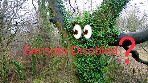 Dji Mini 3 Pro Disable Sensors No RTH