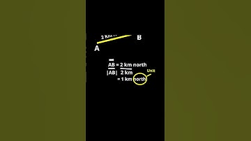 Unit Vector in Physics #physics #class11physics #motion #learnspark