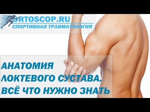 АНАТОМИЯ ЛОКТЕВОГО СУСТАВА.ВСЁ ЧТО НУЖНО ЗНАТЬ