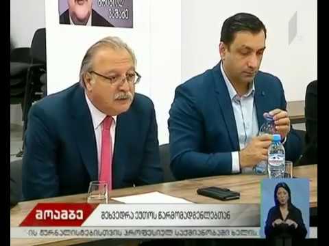 გრიგოლ ვაშაძე OSCE/ODIHR-ის ხელმძღვანელს შეხვდა