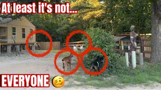 Skipping a simple fix caused A LOT of trouble 😡