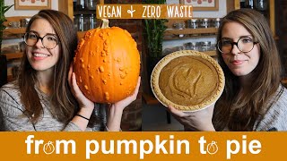 Making a Thanksgiving Pie out of my Halloween Pumpkin 🎃🥧 || Zero Waste + Vegan by Green Serene 321 views 4 years ago 7 minutes, 11 seconds