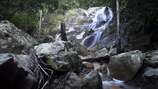 The Forest Waterfall HD - The Calming Sound of Water 2020 screenshot 5