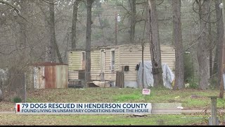 Henderson County deputies rescue 79 dogs, charge owner with animal cruelty near Chandler