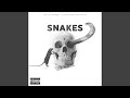 SNAKES SNAKES